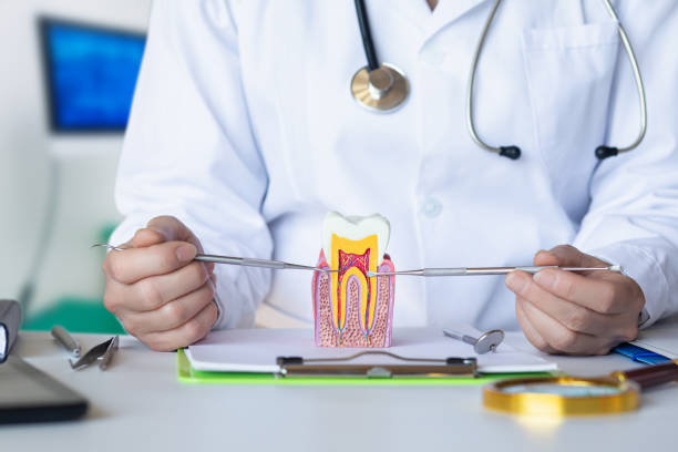 Best Weekend Emergency Dentist in East Foothills, CA